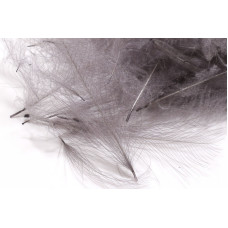 CDC 1G PACK GRIS PIZARRA