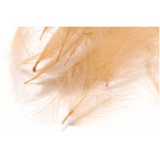 CDC 1G PACK GRIS TAN