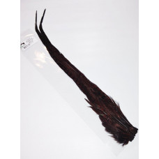 RINGNECK PHEASANT TAIL CLUMP MARRON