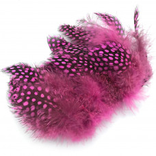 GUINEA FEATHERS HOT PINK