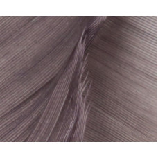 TURKEY BIOT QUILLS GREY