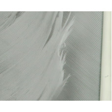 TURKEY BIOT QUILLS GREY OLIVE