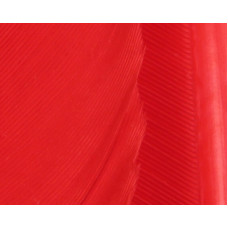 TURKEY BIOT QUILLS BARON ROJO